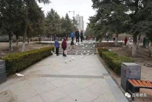 张家口公园爆料视频最新,惊现神秘现象，揭秘公园不为人知的秘密！