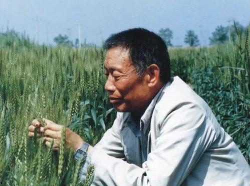 西北农林爆料事件视频,真相与争议的交织