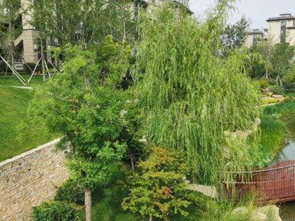 鑫江合院四期业主爆料事件视频,揭露惊人真相！